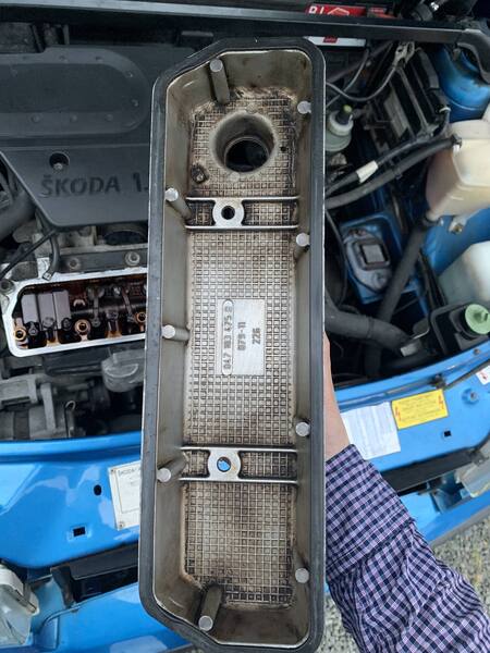 B2345731-00DC-4265-959B-307DC3A2F51A.thumb.jpeg.d059ce346c6563d95ffec1217fd305db.jpeg