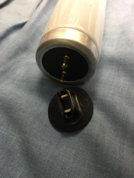 image.thumb.png.f4decd21ac2effed1c4761594ac1531f.png