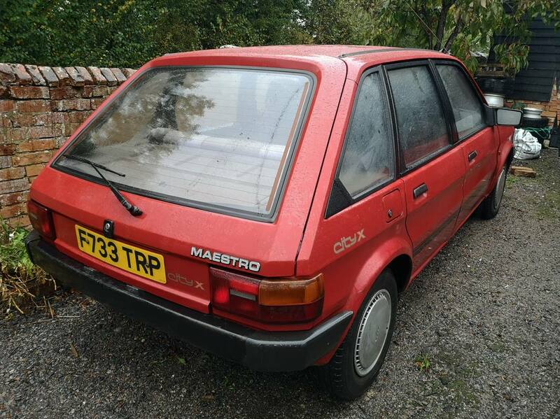 IMG_20201021_131451 broad.jpg