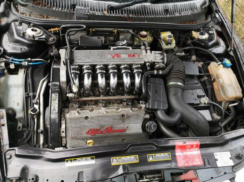 IMG_20201016_095345 broad.jpg