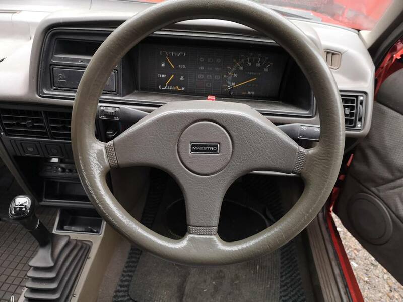 IMG_20201021_135156 broad.jpg