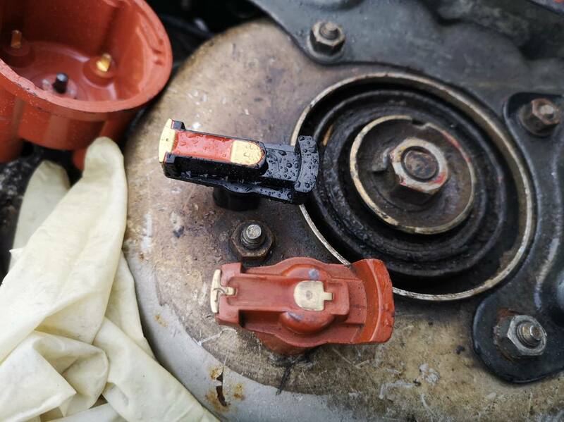 IMG_20201101_092750 broad.jpg