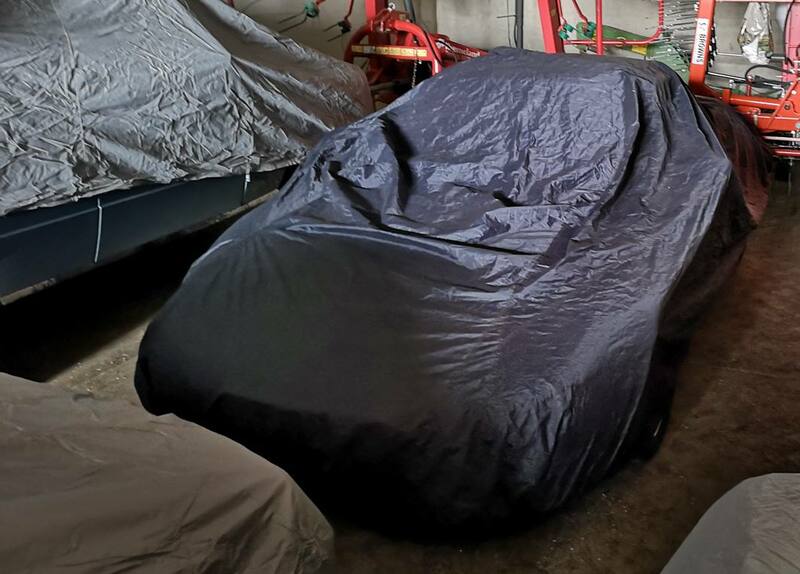 IMG_20201120_123734 broad.jpg