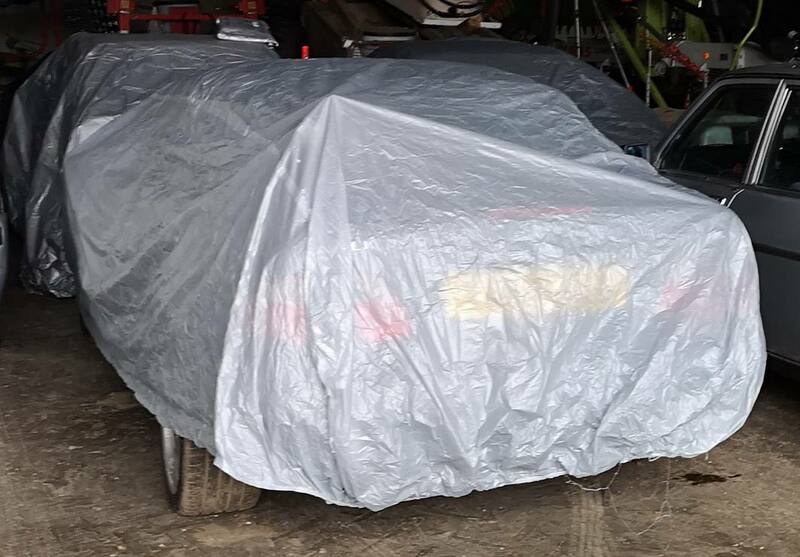 IMG_20201120_125214 crop broad.jpg