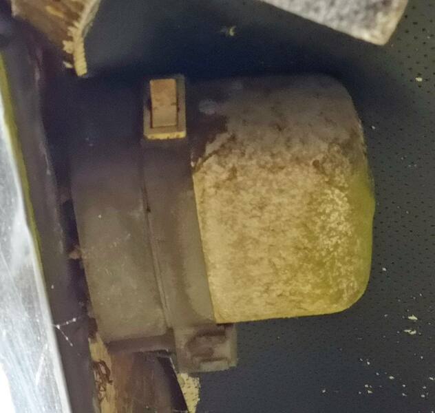 IMG_20201130_135621[1] crop.jpg