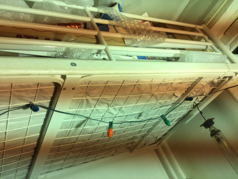 image.thumb.png.4964873e29dec6c96d7089c1f700e0e6.png