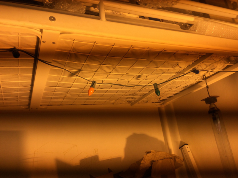 image.thumb.png.8f8f9ac7df24d6d44f38a815aea751e6.png