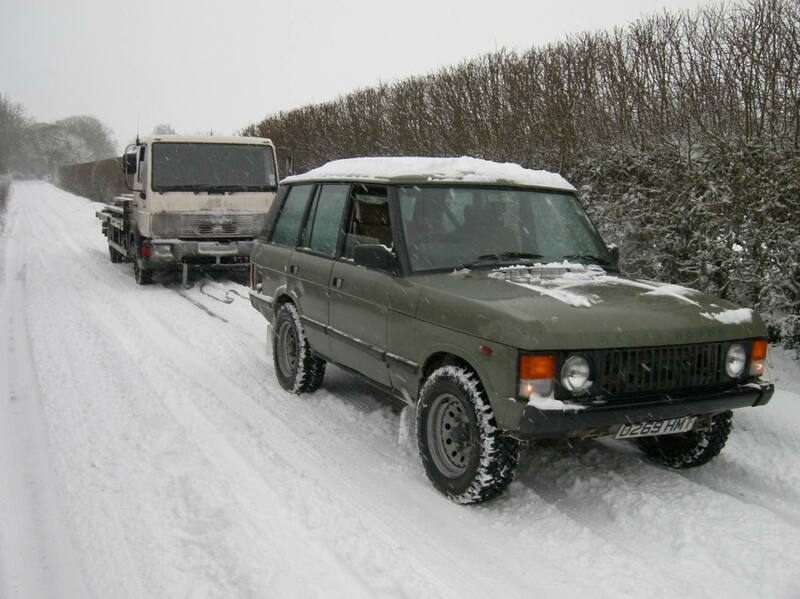 DSCN1641.jpg broad.jpg