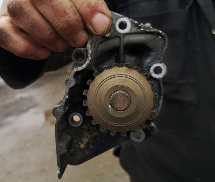 IMG_20210112_121724 broad.jpg