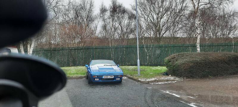 20210207_113019.jpg