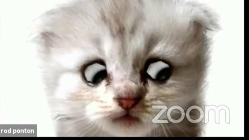 Cat_lawyer.thumb.jpg.0a1ea126a96c79d90c31326d961935f1.jpg