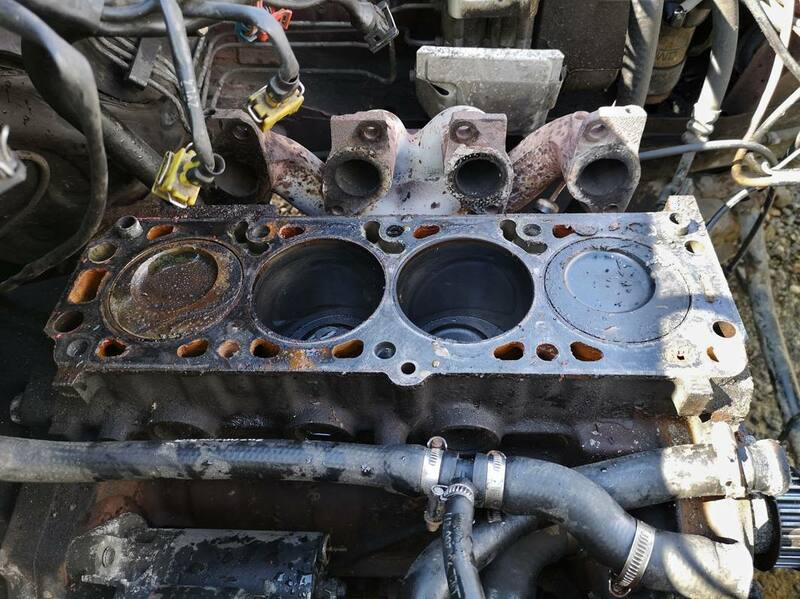 IMG_20210411_143544 broad.jpg