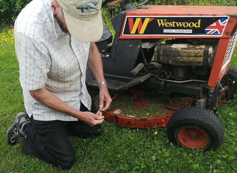 IMG_20210705_163532 broad.jpg