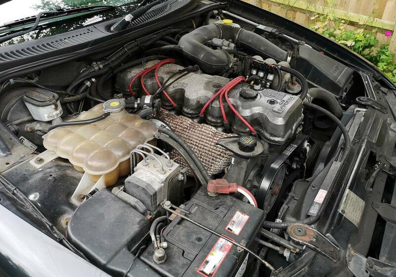 IMG_20210704_163957 broad.jpg