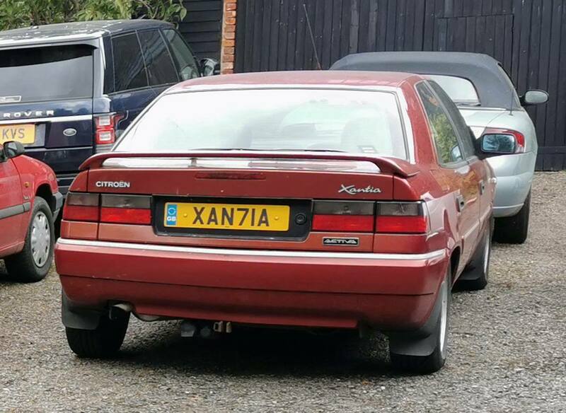 IMG_20210928_152202 crop broad.jpg