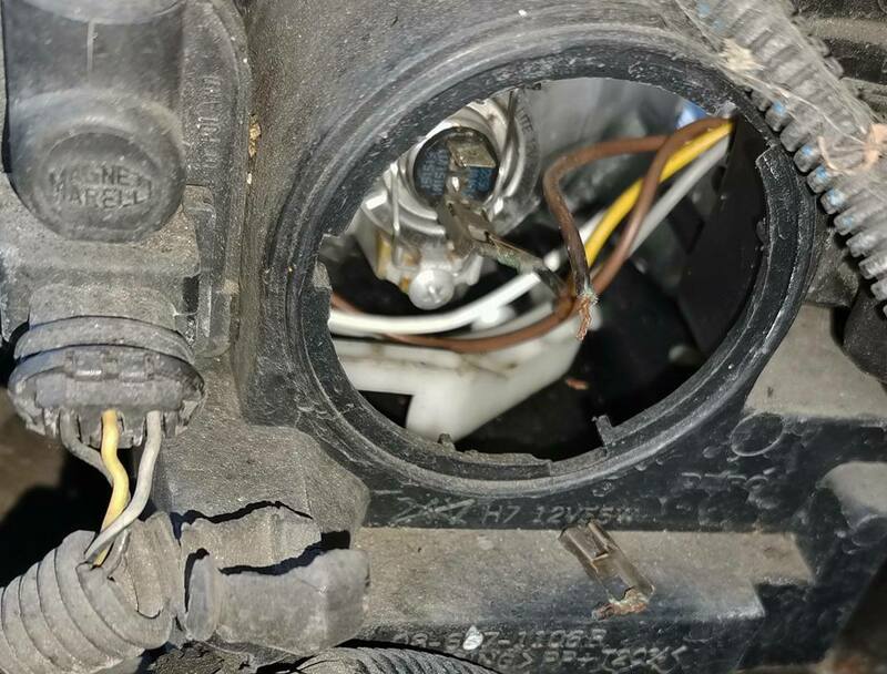 IMG_20211009_164231 broad.jpg