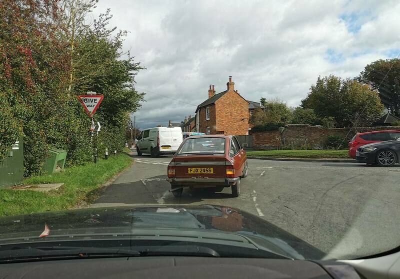 IMG_20211022_132117 broad.jpg