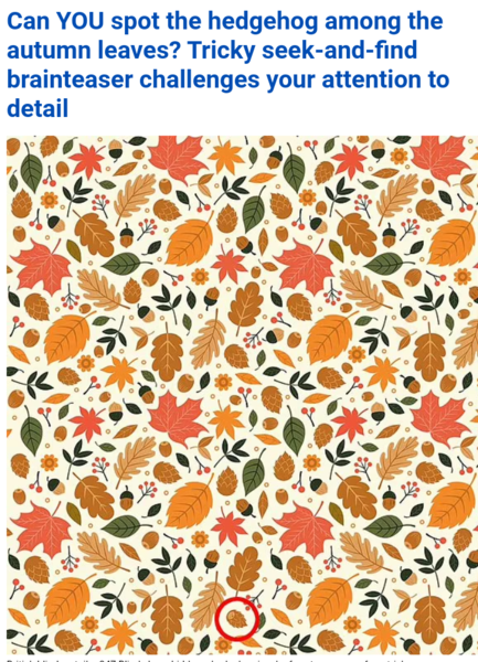 325007493_Screenshot_20211009-1338482.thumb.png.c4e6bb5617db01e4c004a10b6e31d15b.png