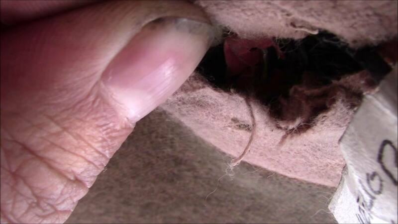 388913148_16-RewiringPart3_7.thumb.jpg.ba9c428919fcf4004ec2cff04a85662e.jpg