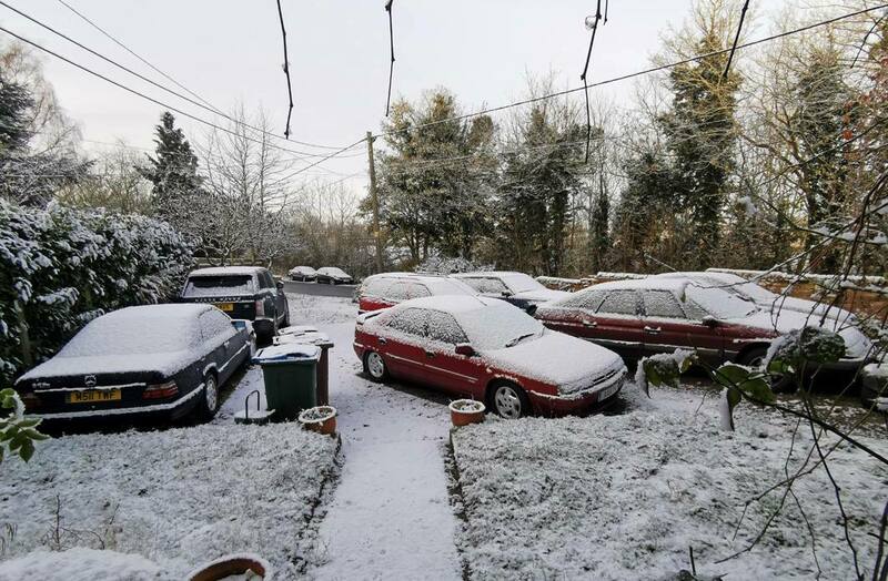 IMG_20211129_082909 broad.jpg