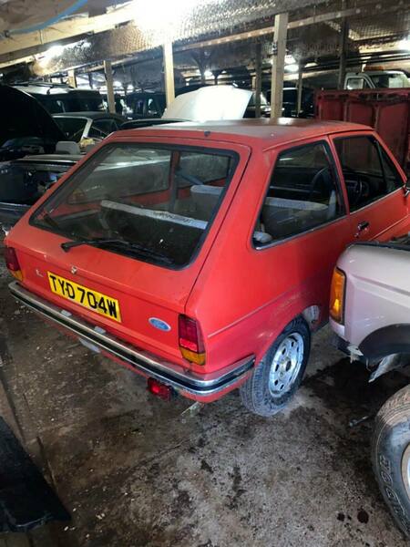 1490781621_FordFiestaMK1-TYD704W(2).thumb.jpeg.69c393636b56f4c7ac12cddf738001be.jpeg