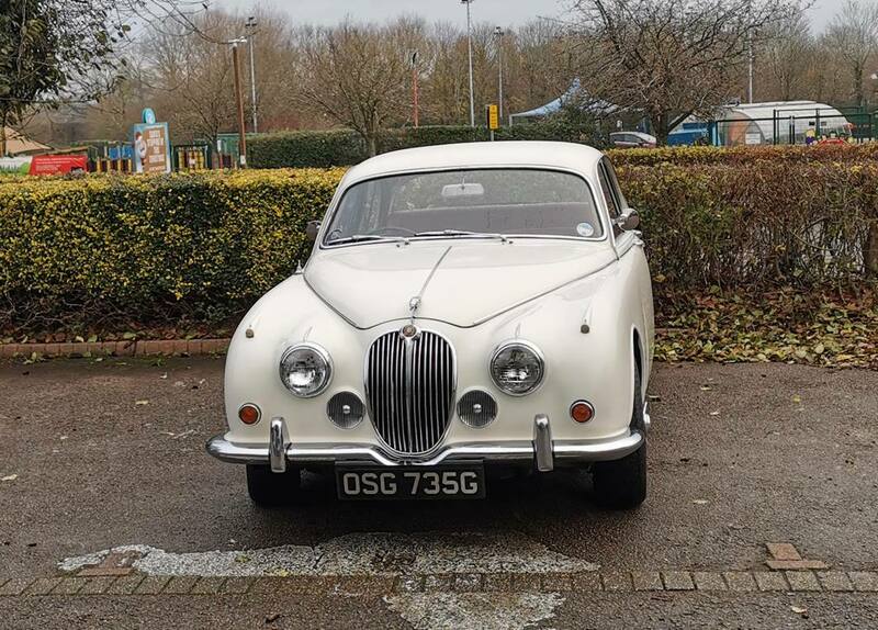 IMG_20211205_094731 broad.jpg