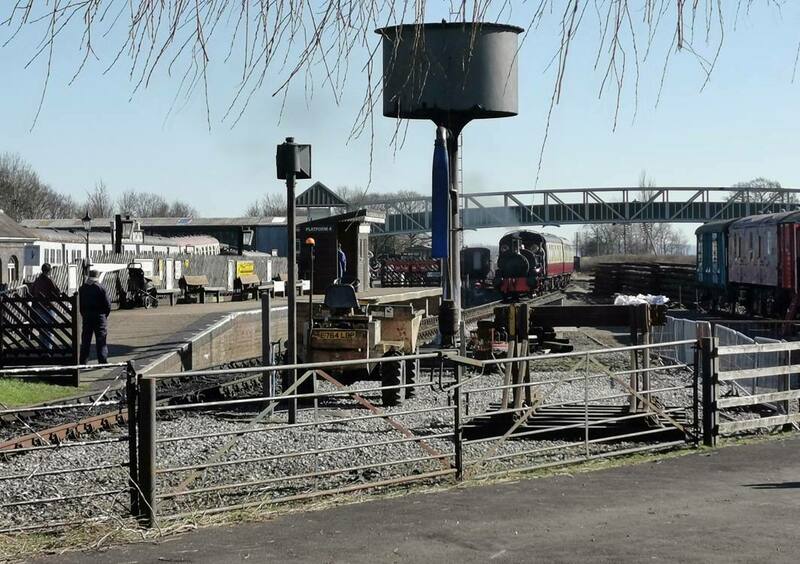 IMG_20220227_123650 broad.jpg