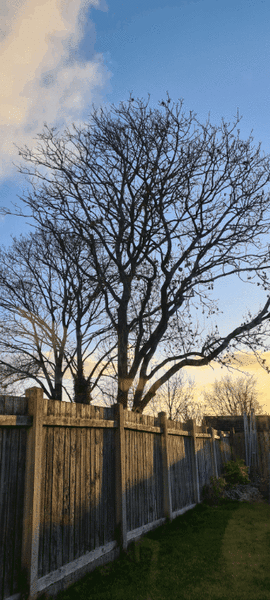 20220211_150811.thumb.gif.76cdd45849d0b7130e7143d378693844.gif