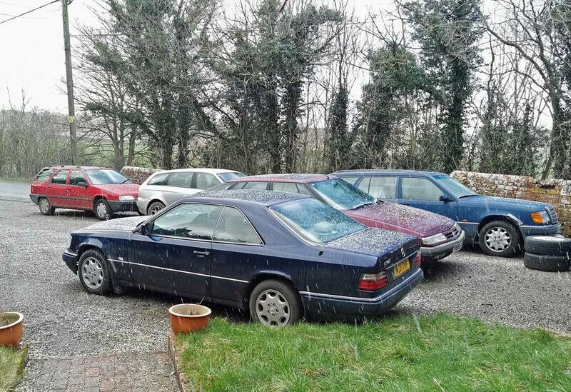 IMG_20220224_143344 broad.jpg