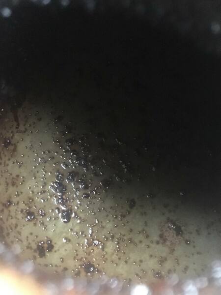 F316CC5C-C079-438D-93C4-0C5CA68BFE81.jpeg