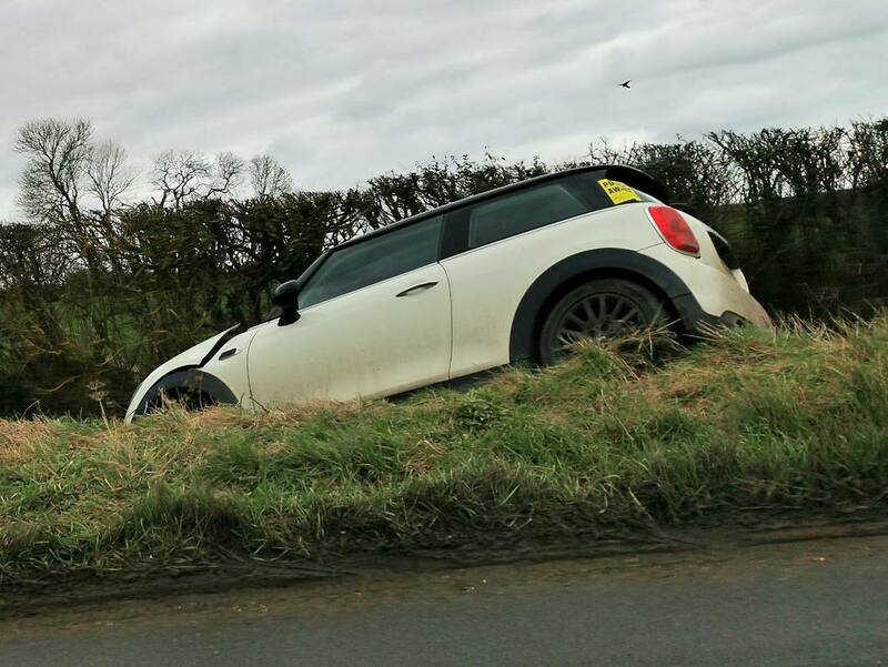 IMG_20220306_122314 broad.jpg