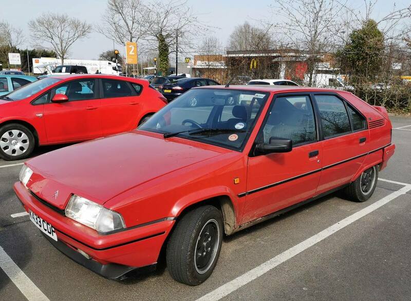 IMG_20220321_131835 broad.jpg