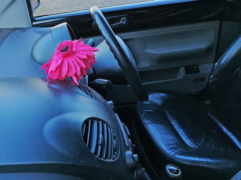 IMG_20201217_111358 broad.jpg