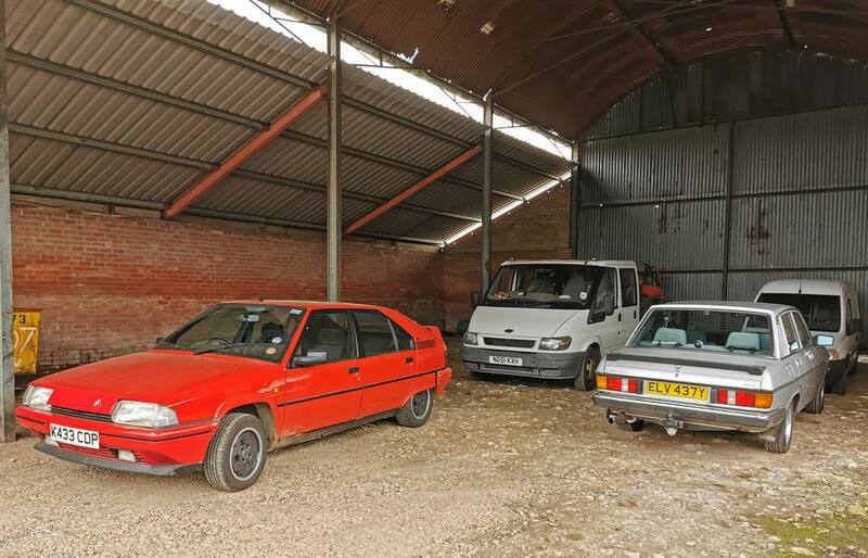 IMG_20220321_113948 broad.jpg