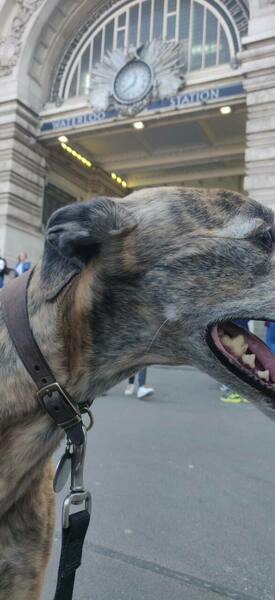 IMG_20220326_124034.thumb.jpg.1bd63cb3f4439f14c2a46c2210d6a0fc.jpg