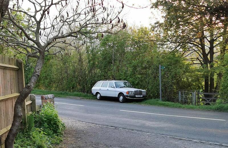 IMG_20220427_195134 broad.jpg