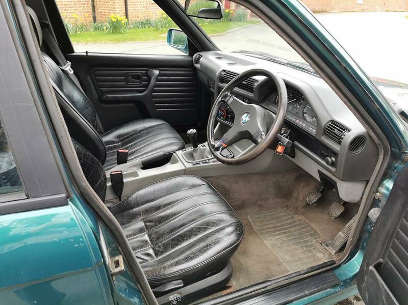 IMG_20220413_105921 broad.jpg