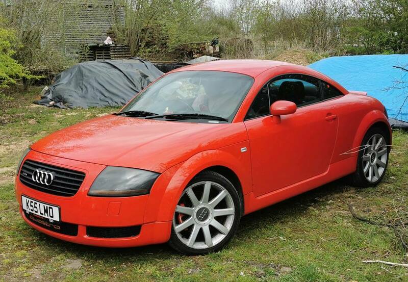 IMG_20220413_132537 broad.jpg