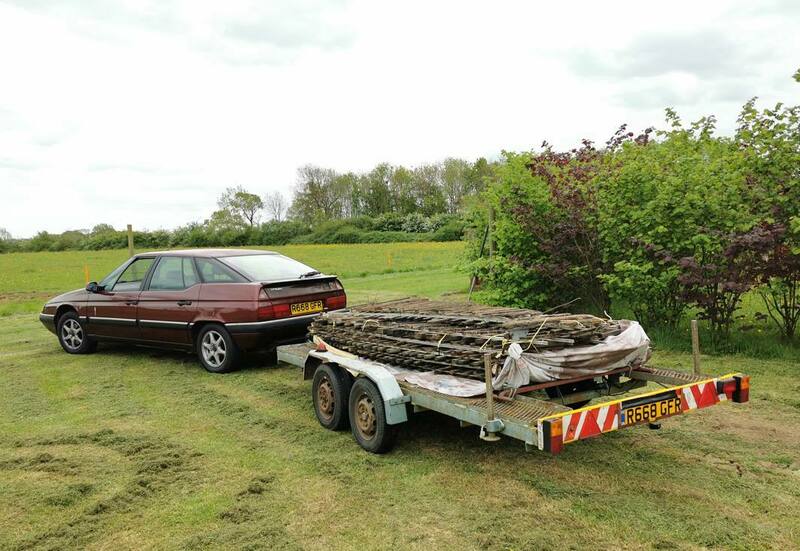 IMG_20220509_162708 broad.jpg