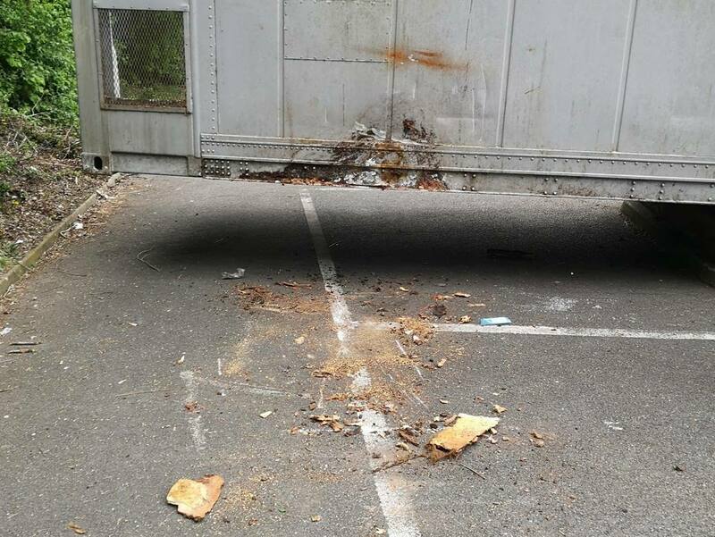 IMG_20220502_190045 broad.jpg