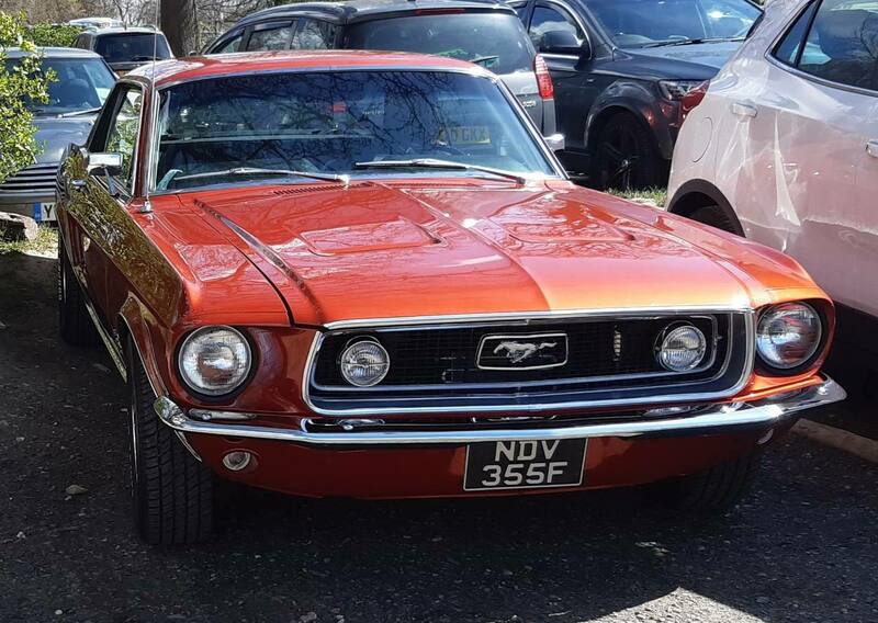 1483888225_1968FordMustanghardtopMar2022.thumb.jpg.51b03be46920ac608a5b1a58f2bcbe68.jpg