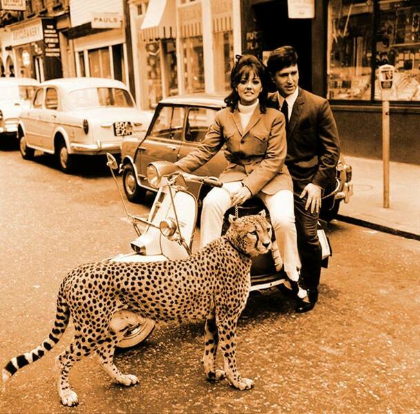 carnabystreettv175.jpg