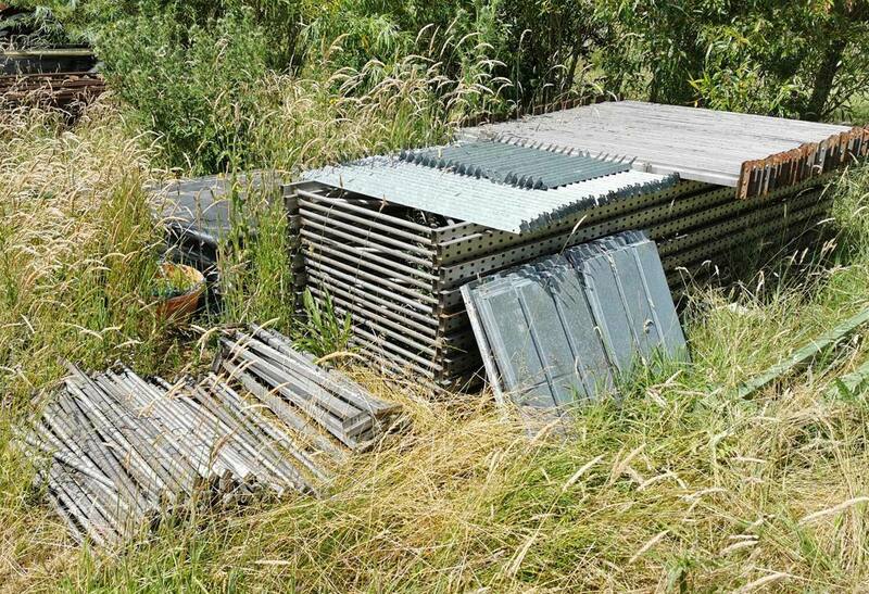 IMG_20220629_113138 broad.jpg