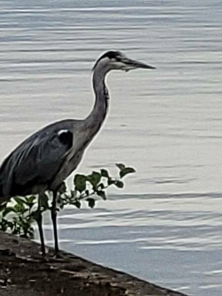 20220712_124443.jpg