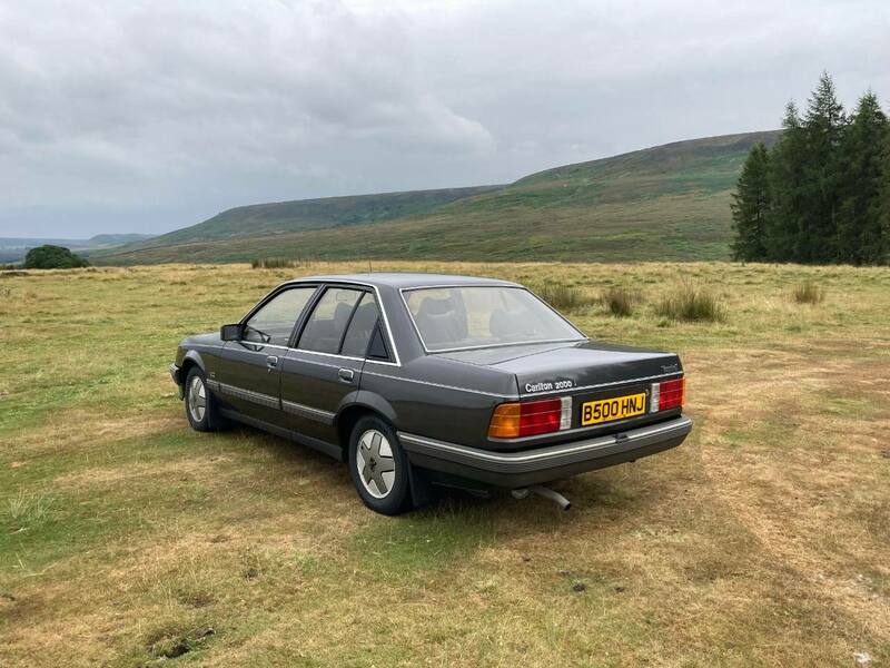 295667025_376298687782743_7507923463908861977_n.jpg