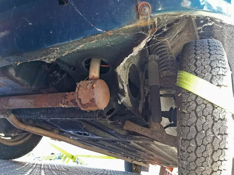 IMG_20220810_093735 broad.jpg