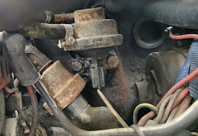 IMG_20220829_152411 broad.jpg