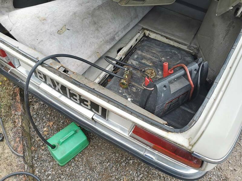 IMG_20220829_130530 broad.jpg