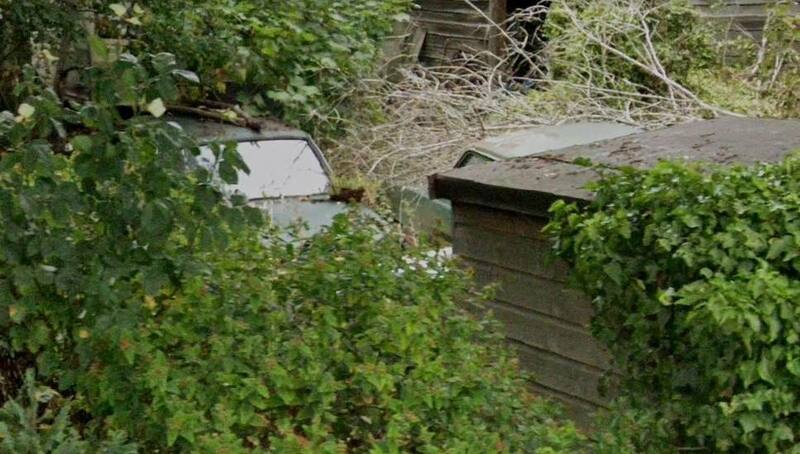 Hunted.thumb.jpg.453f3f3be83fd188bf61f180a8f7fd9a.jpg