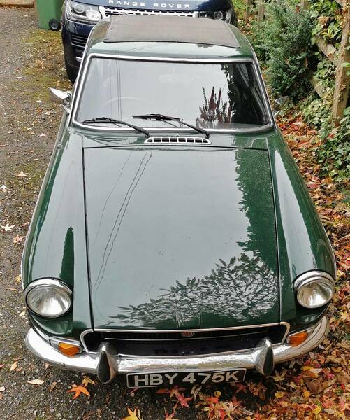 IMG_20221014_140041 broad.jpg